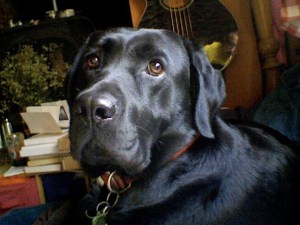 Photo on 2011-05-23 at 08.19