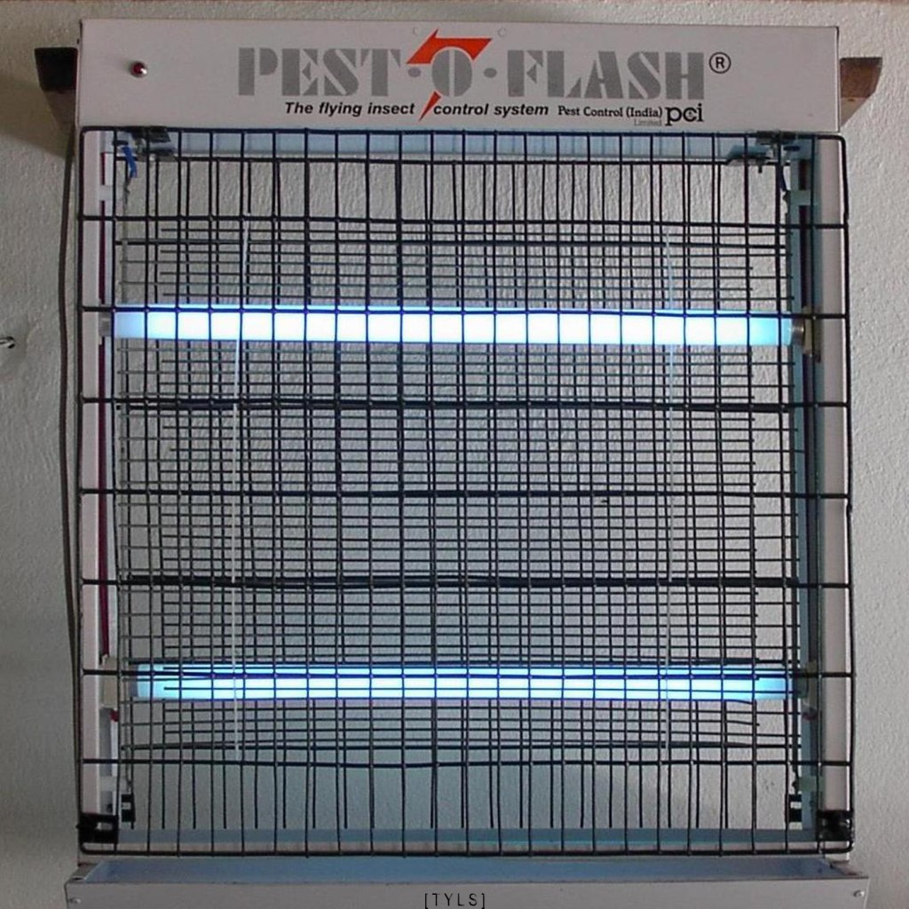 TYLS – Pest-O-Flash (ambient/ noise)