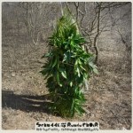 No Security Through Numbers