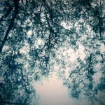 Oblique Temperatures