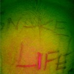 This American Snake Life