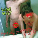 Flying The Japanese Flag